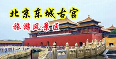 插穴艺术中国北京-东城古宫旅游风景区